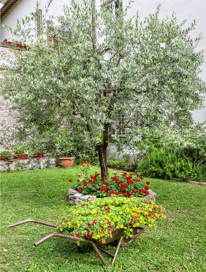 Hotel Casa Diocesana Di Lucca Eksteriør bilde